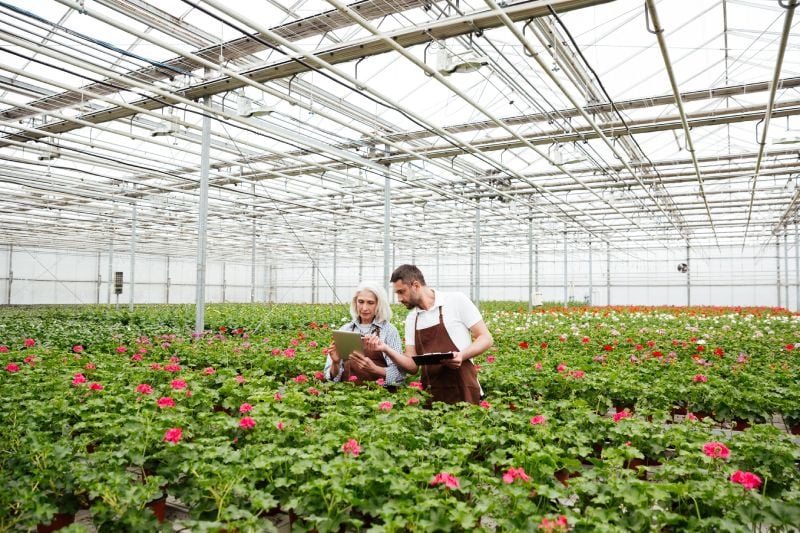 When flowering occurs based on your location When flowering occurs based on your location